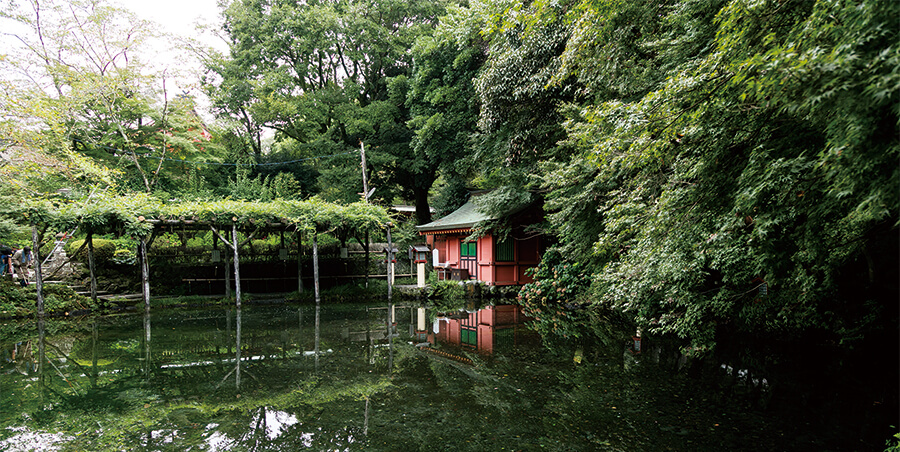 湧玉池