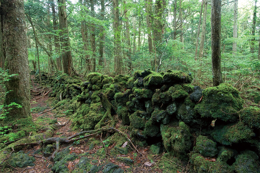 Motosu Sekirui (Motosu Stone Wall Fence)