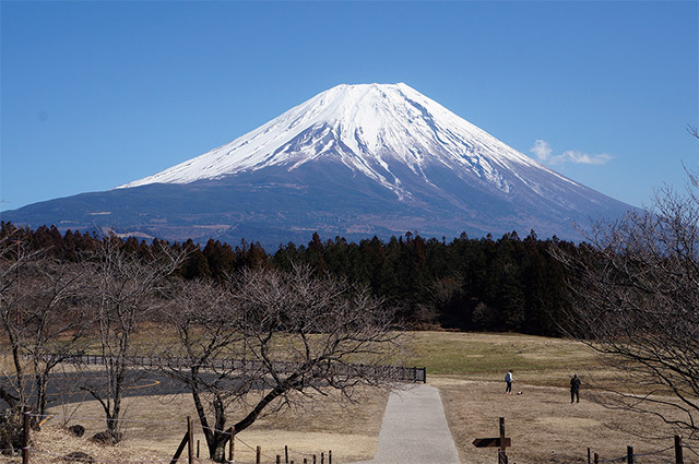 道の駅朝霧高原