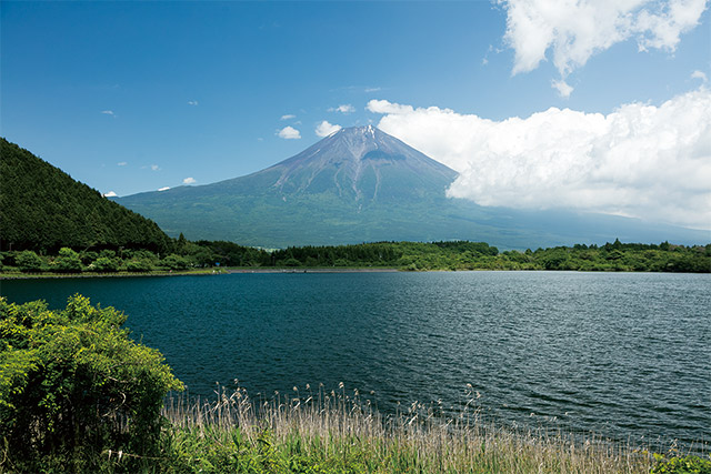 田貫湖散