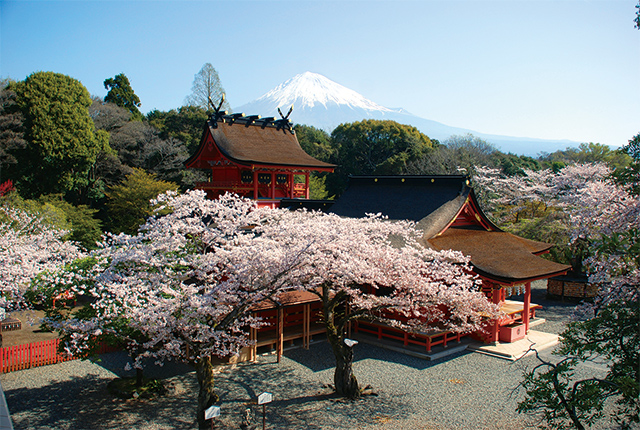 富士山本宮浅間大社